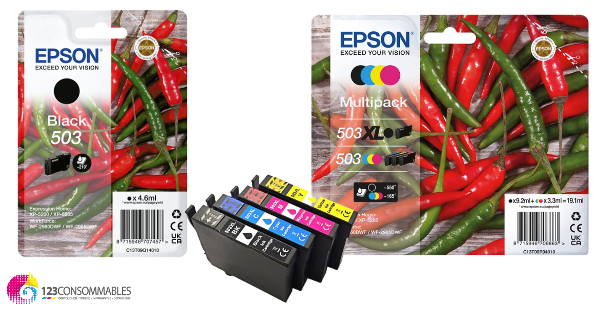 CARTOUCHES JET D'ENCRE POUR EPSON